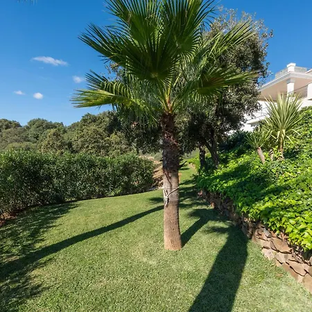 Lavanda Altos De Villa *