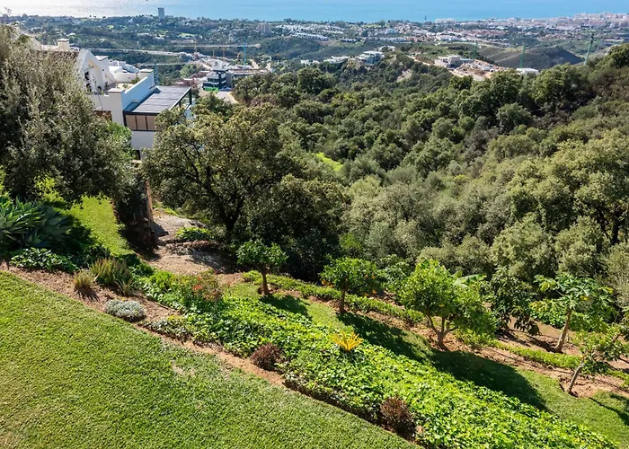 Lavanda Altos De Marbella