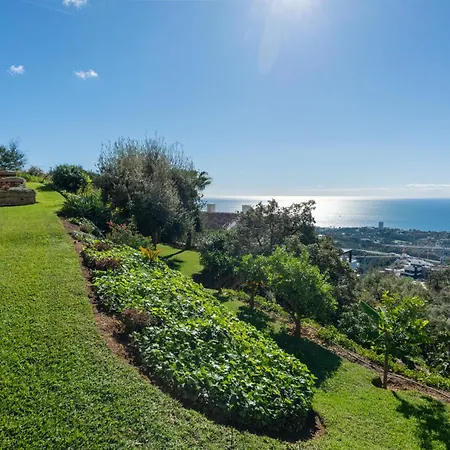 Lavanda Altos De فيلة ماربيا